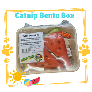 Refillable Catnip Bento Box - Sweet Watermelon