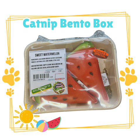 Refillable Catnip Bento Box - Sweet Watermelon