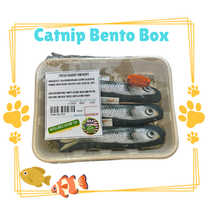 Refillable Catnip Bento Box - Fresh Caught Anchovy