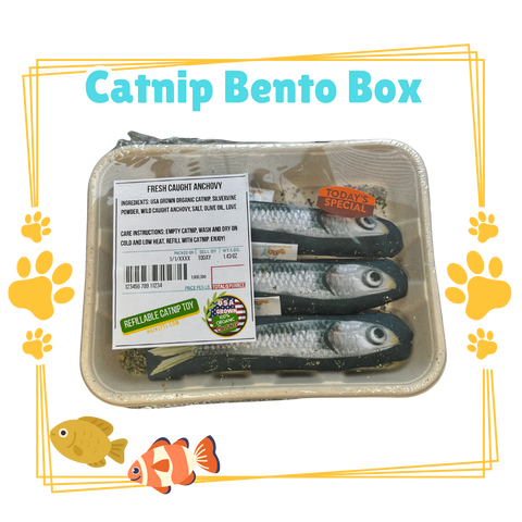 Refillable Catnip Bento Box - Fresh Caught Anchovy