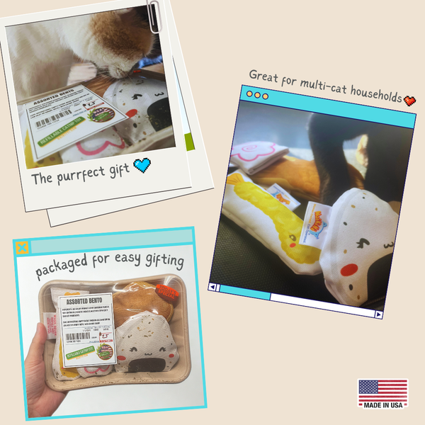 Refillable Catnip Bento Box - Assorted Japanese Inspired Snacks