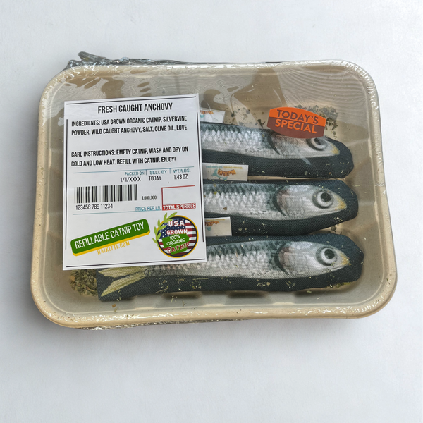 Refillable Catnip Bento Box - Fresh Caught Anchovy