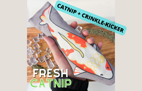 Jumbo Koi Fish Crinkle-Kicker